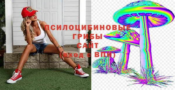 гидропоника Вязники