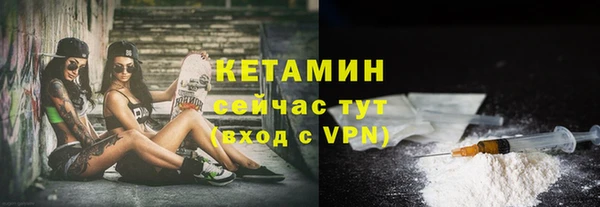 мдпв Вяземский