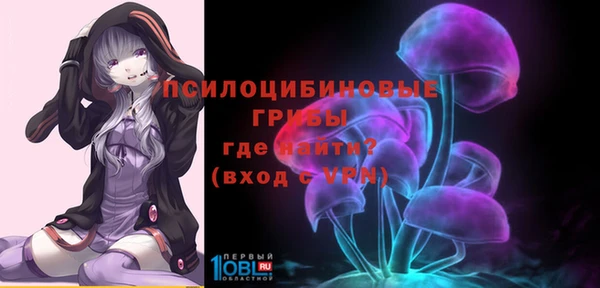 эйфоретик Вязьма