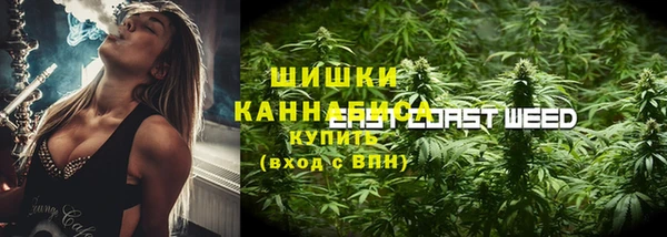 эйфоретик Вязьма