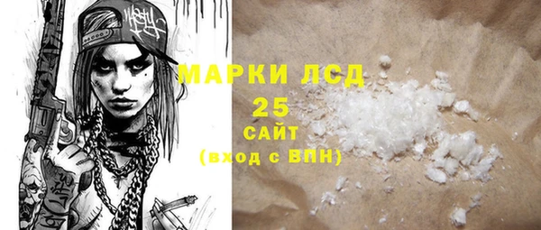 мдпв Вяземский