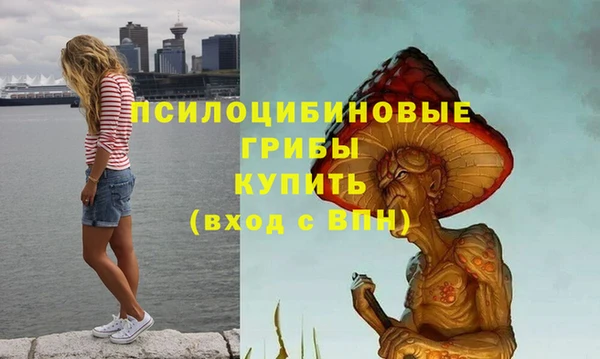 гидропоника Вязники
