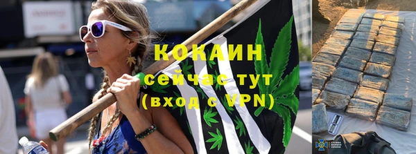 мдпв Вяземский