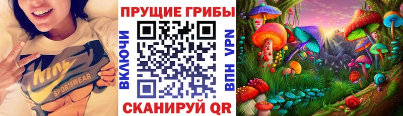 Псилоцибиновые грибы мицелий  darknet формула  Саранск 