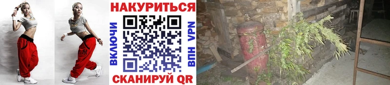 Каннабис план  Саранск 